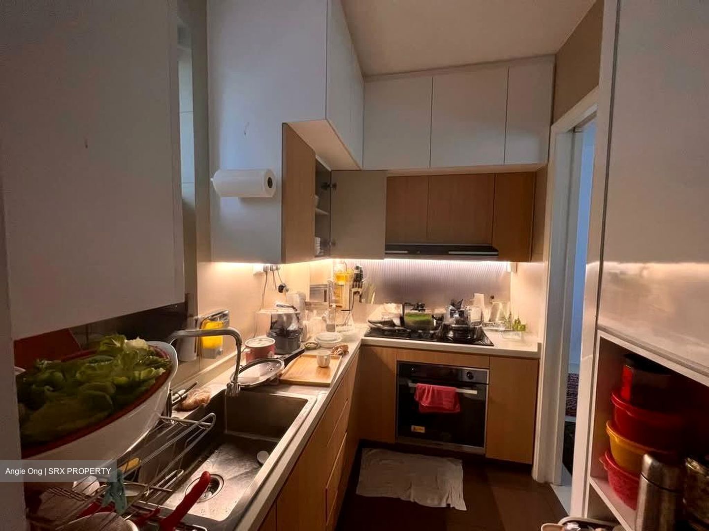 Meyer Residence (D15), Apartment #579282911